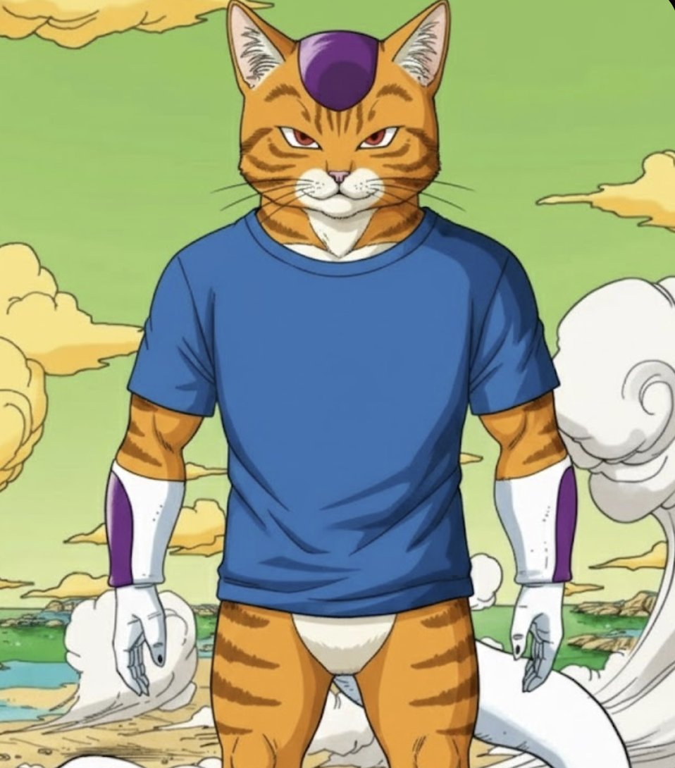 KEYCAT tweet media