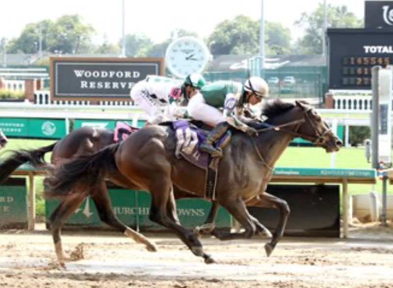 Ali Dammas tweet media