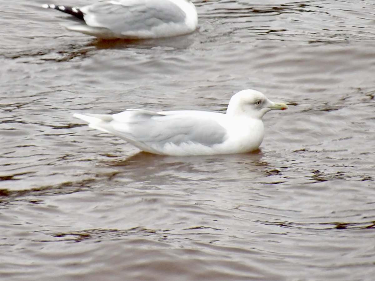 Jack Tynan tweet media