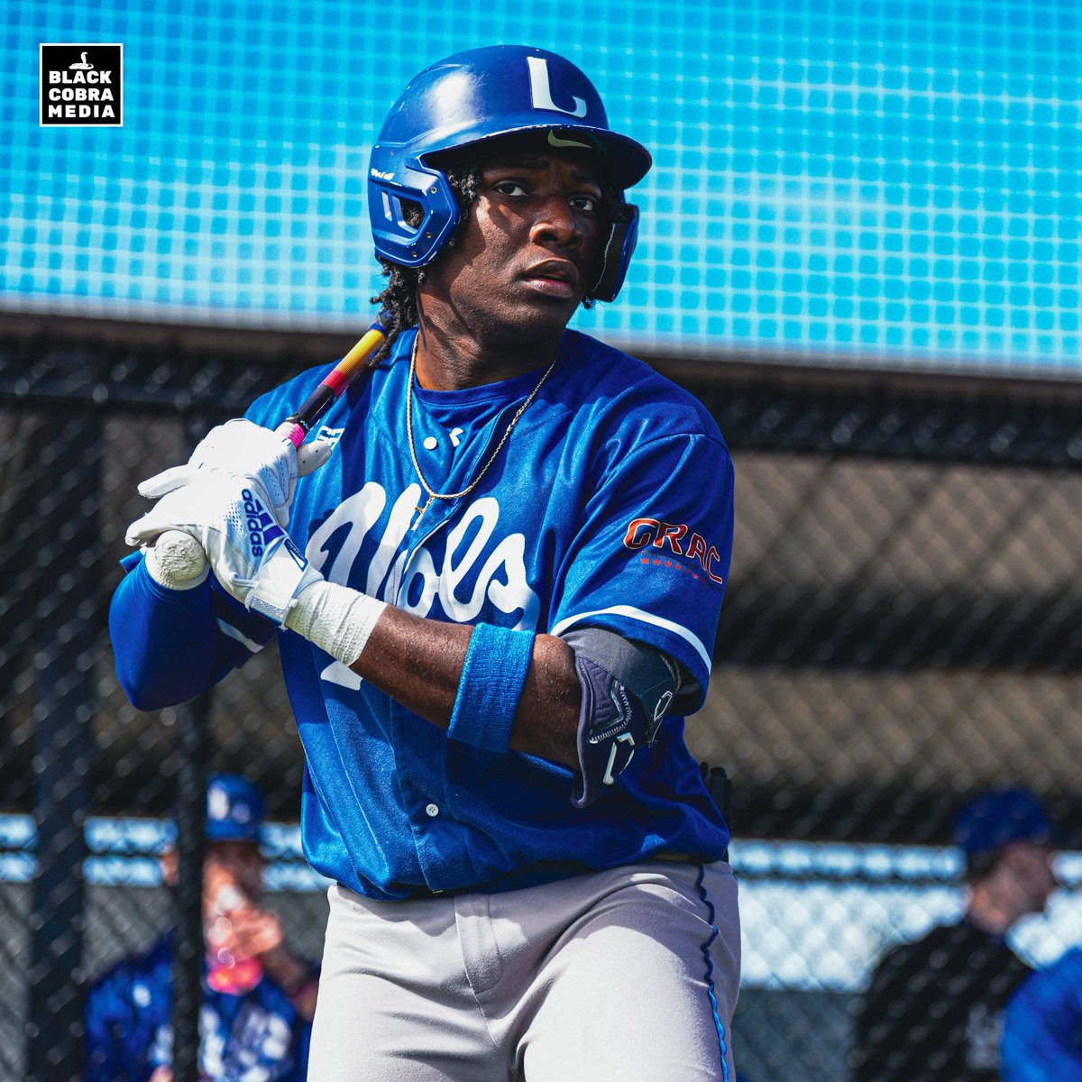 BLACK COBRA MEDIA tweet media