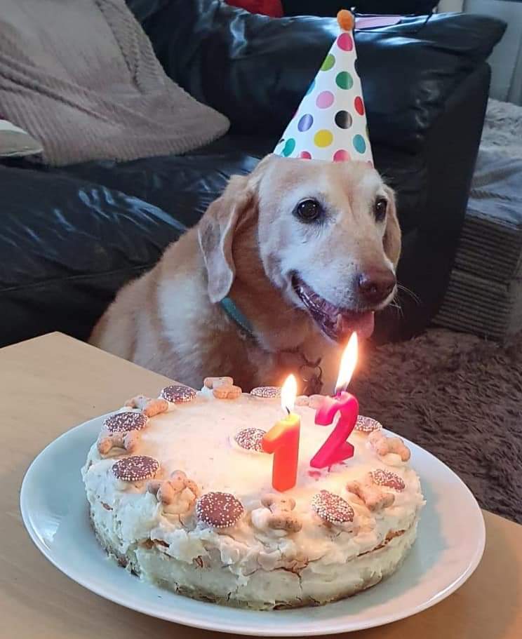 🗝️Lorry🗝️ tweet media