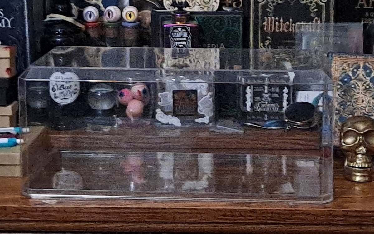 Went to the oddity shop to get a wet specimen. Didnt return with a wet specimen... 

Anyway the dude gave me the whole display case it was in.