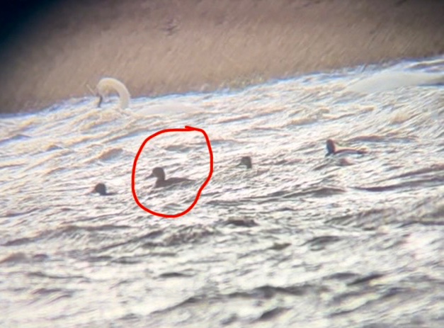 Jack Tynan tweet media