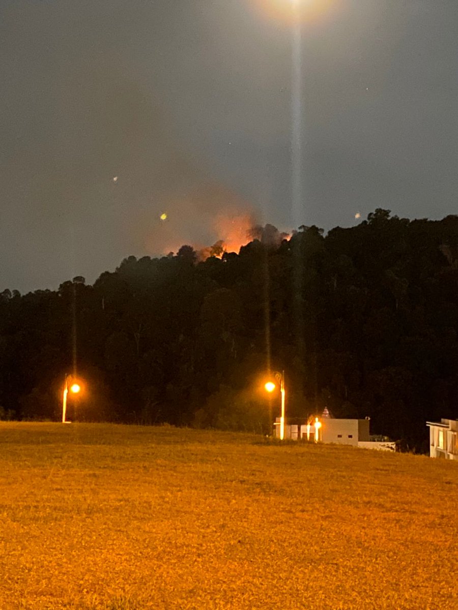 Kebakaran hutan dikesan berlaku di puncak sebuah bukit berhampiran sebuah apartment di Taman Tun Abdul Razak, Ampang, malam ini.

Pegawai Operasi Jabatan Bomba dan Penyelamat Malaysia (JBPM) Selangor Hamdan Hamzah berkata, pihaknya menerima panggilan kecemasan berhubung kejadian