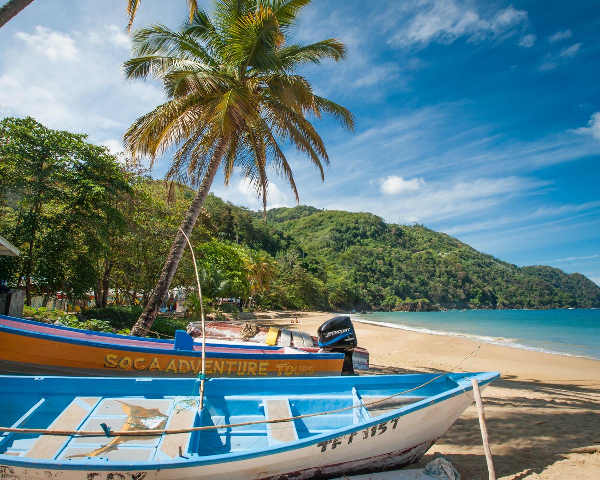 visit_tobago's tweet photo. Snorkel clear waters, share a fresh catch, or simply slow down — Castara offers a rare escape rooted in authenticity and community.
Discover its quiet appeal and deeper connection to island life: https://t.co/HAKptCRV7w 🔗
#TobagoBeyond | #101ReasonsTobago https://t.co/TRcjMR4MiC
