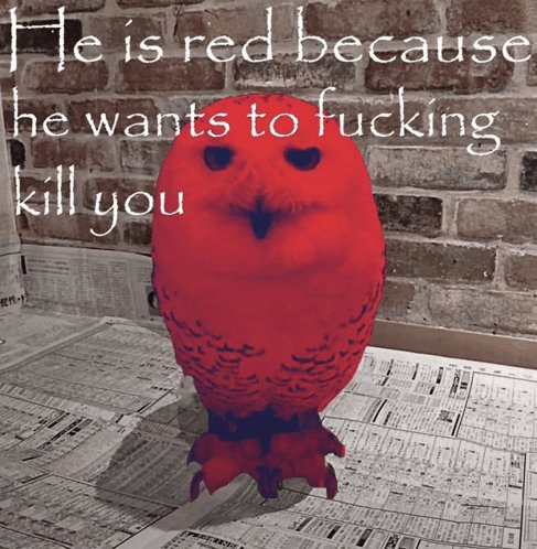 If you get sent this from me. You have been befriended.