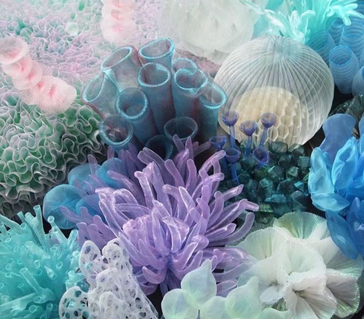 prtygal777's tweet image. Under the Ocean