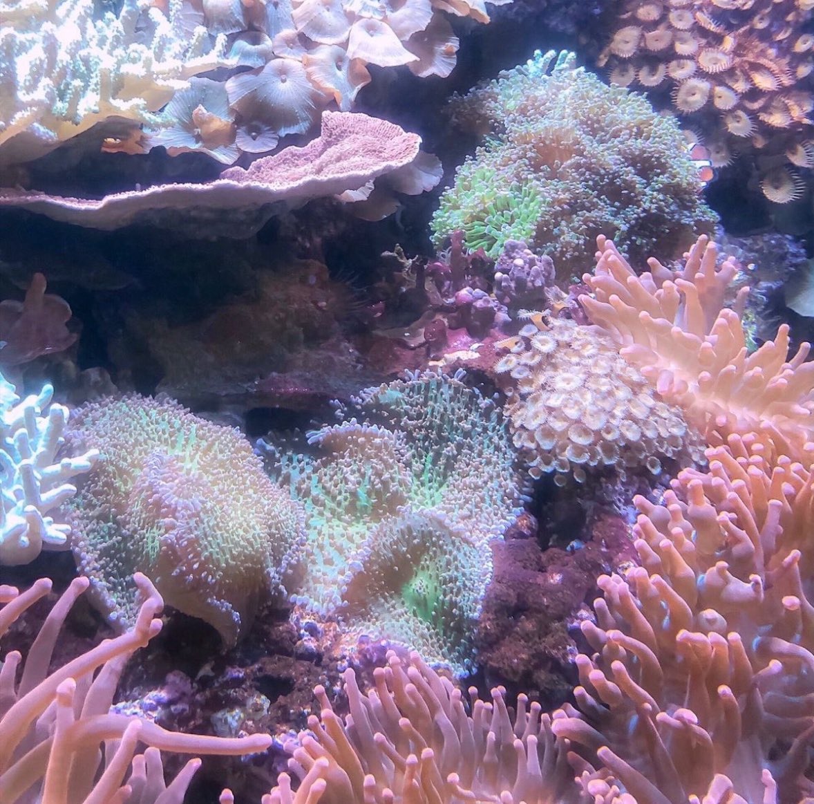 prtygal777's tweet image. Under the Ocean