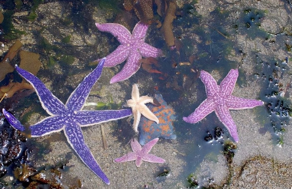 prtygal777's tweet image. Under the Ocean