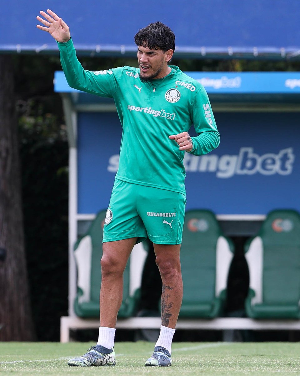Palmeiras's tweet photo. Trabalhos táticos e preparação para o duelo com o Vitória ➤ https://t.co/bsjfaCBI2d https://t.co/CdBY0ZYvuP