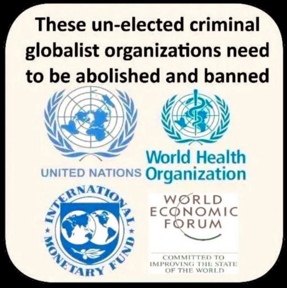 Marc_OTSS's tweet image. A world parliament doesn't fit with sovereignty rules and state independence
Better chaos and destruction then the rules of a one world government whose rules bring the heards silently and quietly to the slaughterhouse
#DefundWEF
