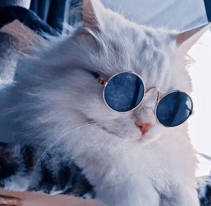 pbkiller's tweet image. しょっぱいサンドイッチを味わう 🤶