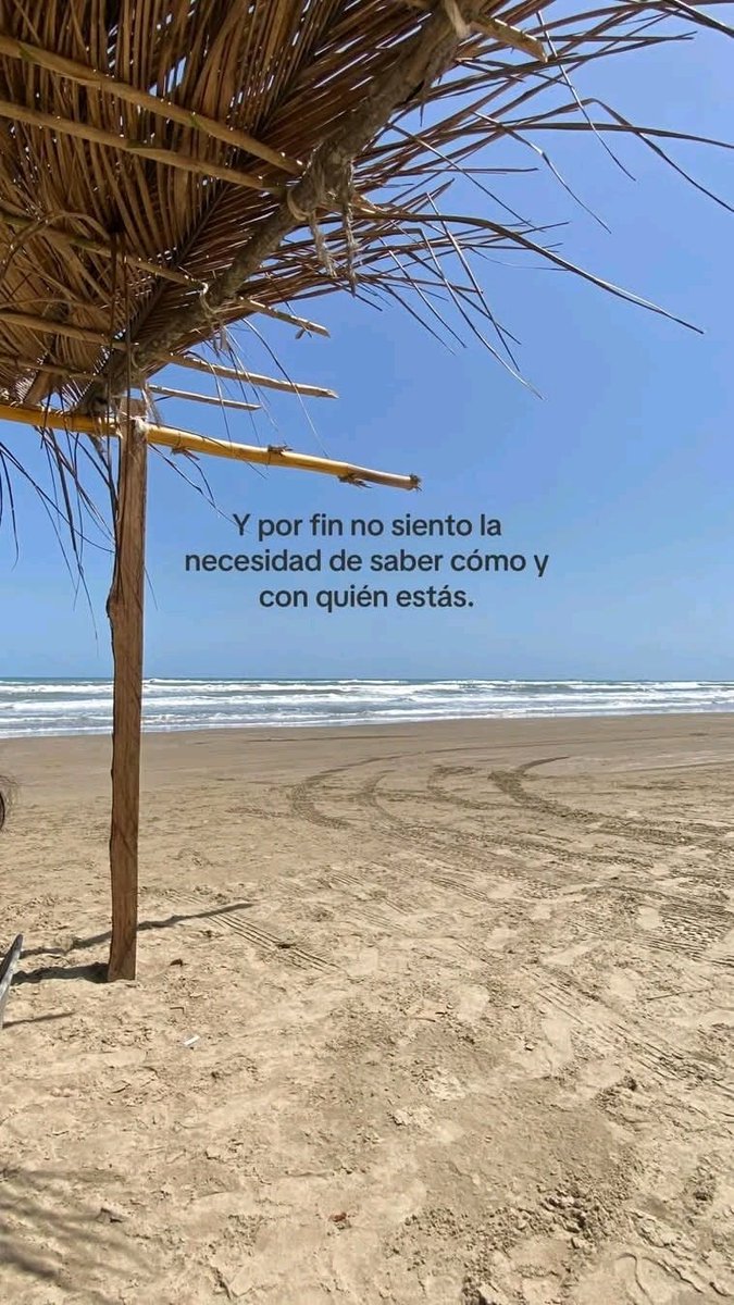 BANDIDOS (@bandidosfrasess) on Twitter photo 