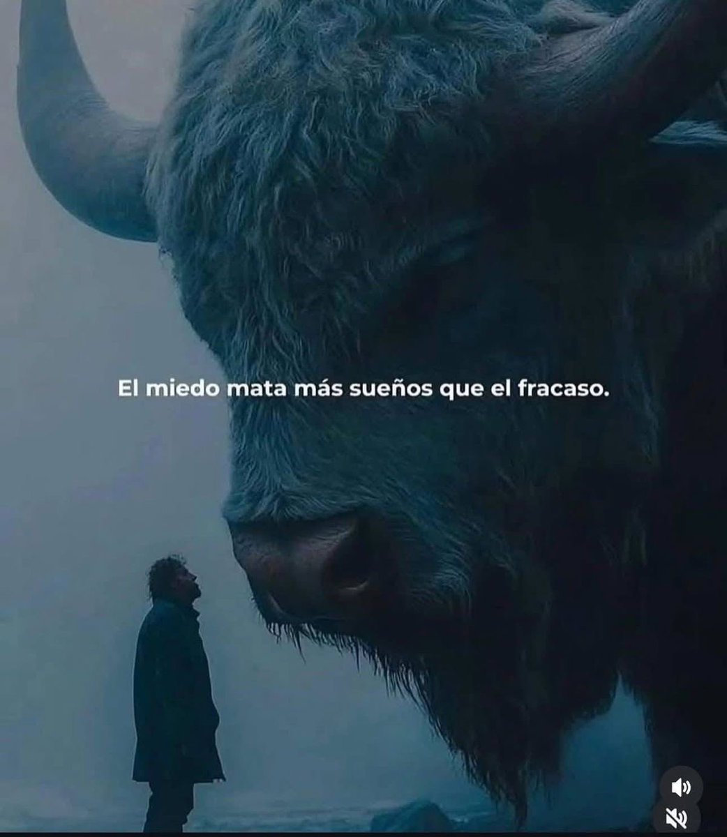 Disciplina (@eligedisciplina) on Twitter photo 