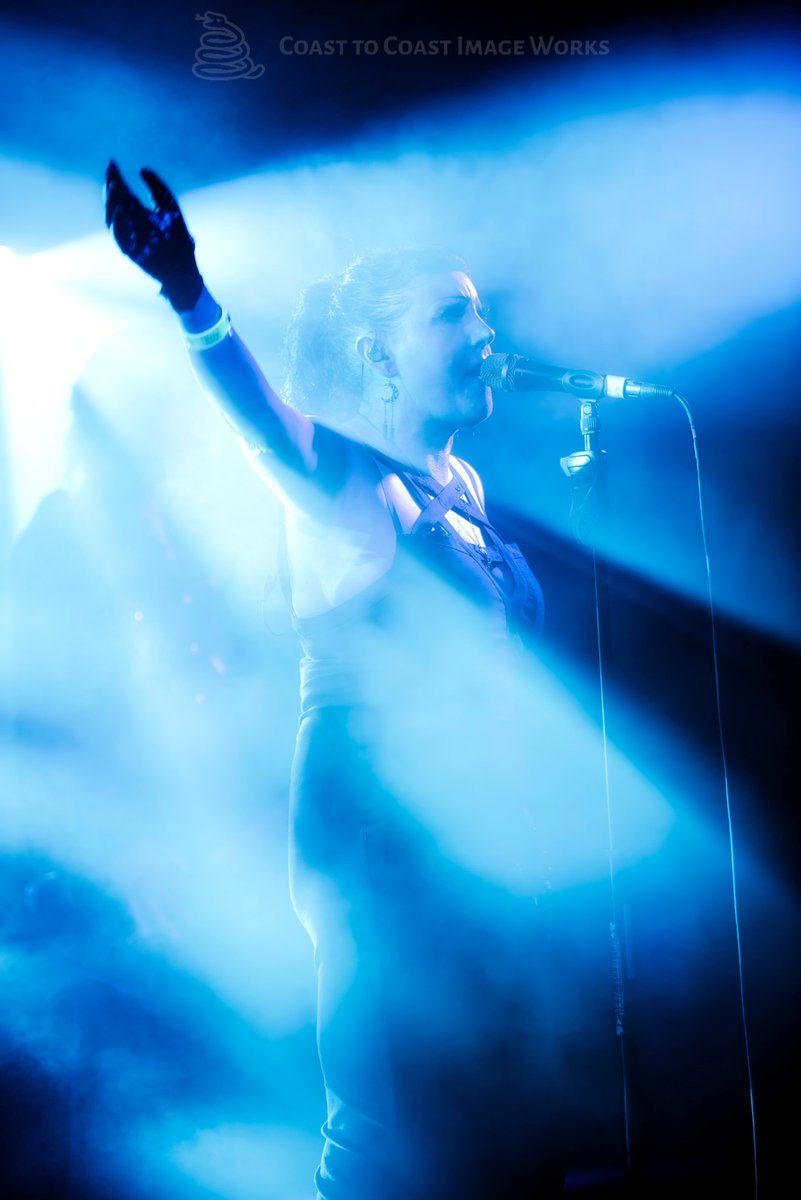 Zeitgeist Zero tweet media