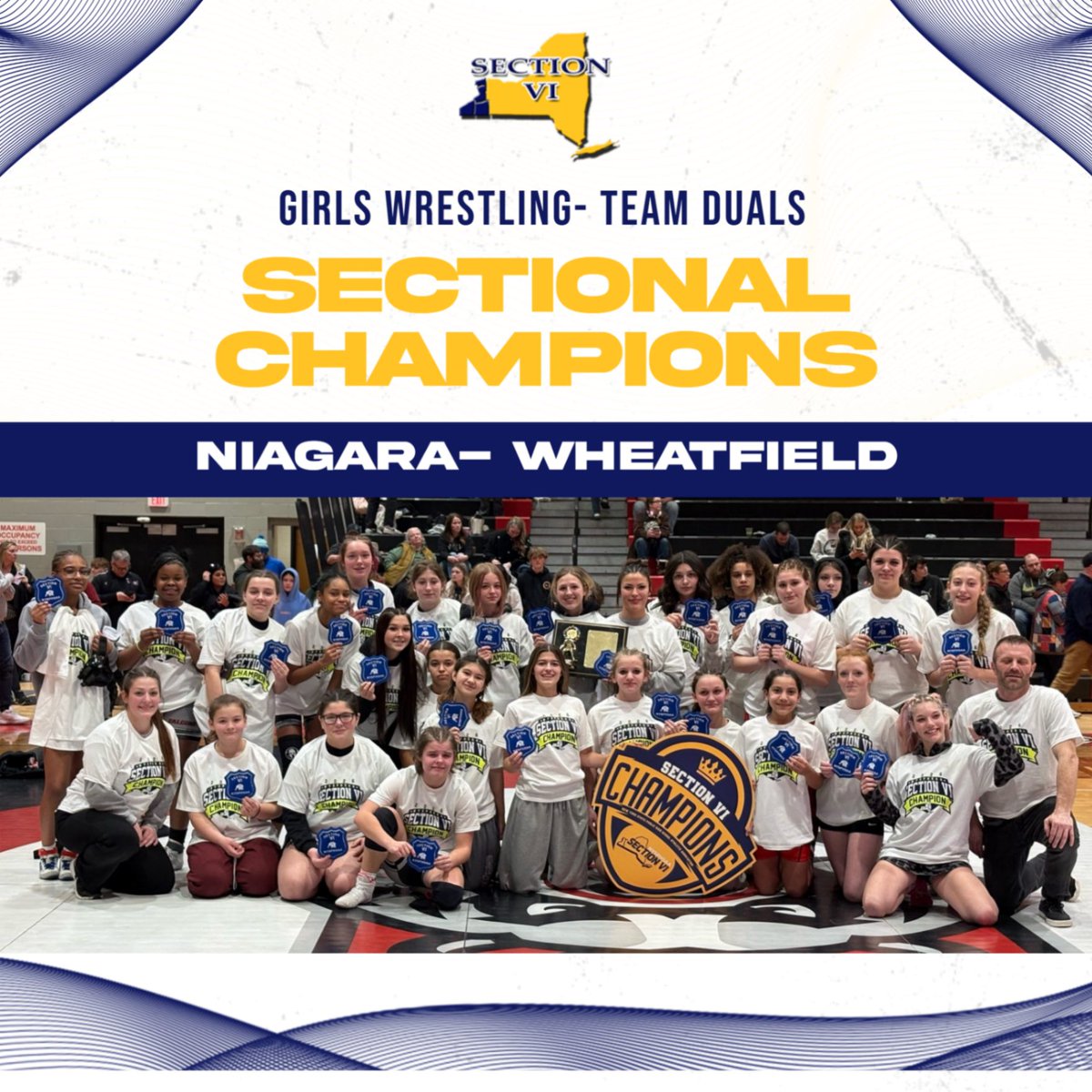 Section VI tweet media