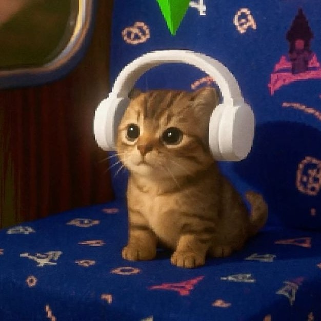 SHAFZZZZZZZZZZZ's tweet photo. A cat.                                                        A CAT. https://t.co/Kkk0cigJom