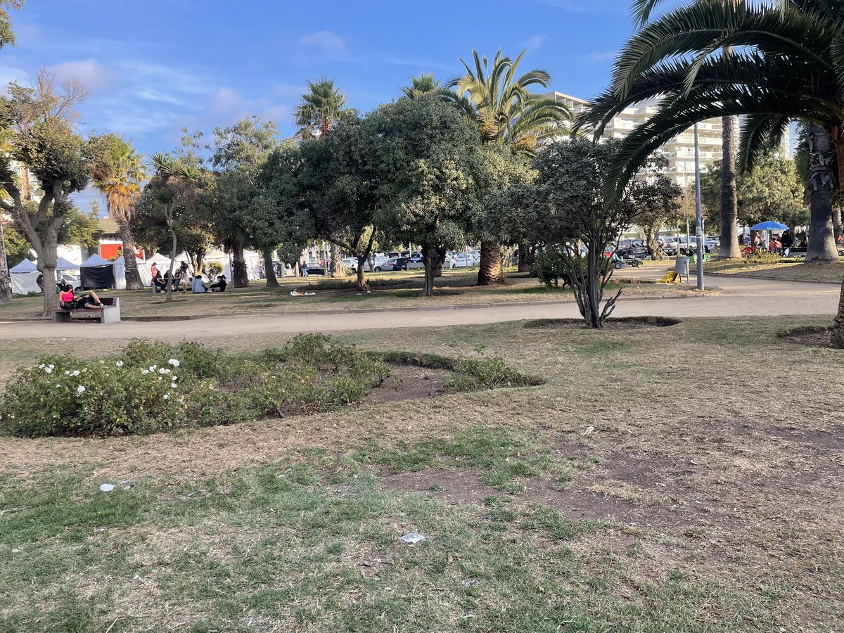 ~Carolina 🌳🦩 tweet media