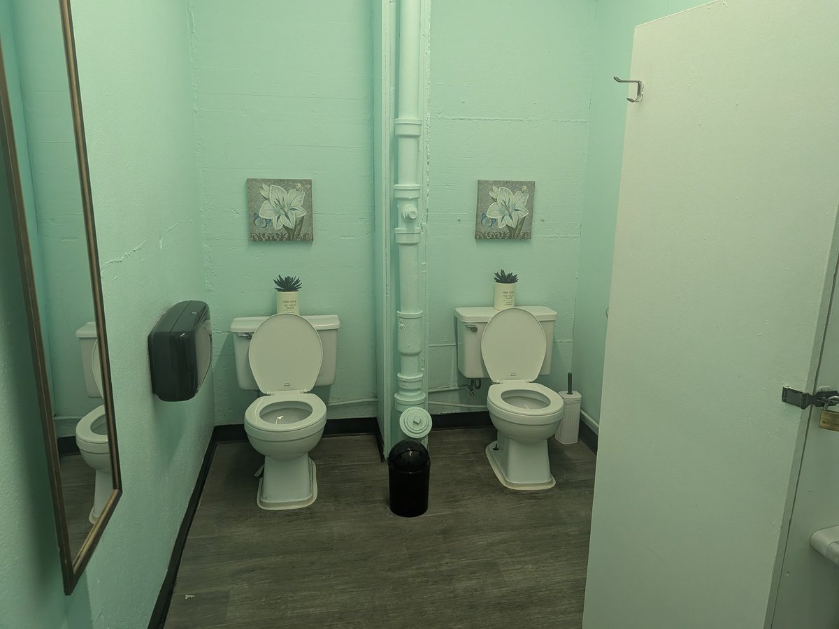 My local thrift store is equipped with dual toilets for shitting with bestie 💖