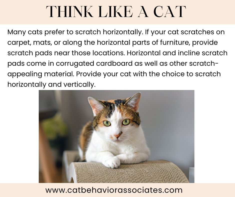 If your cat is scratching in inappropriate places, it could be that you haven't provided the right type of scratching post or pad. Many cats have specific preferences about vertical or horizontal objects.
