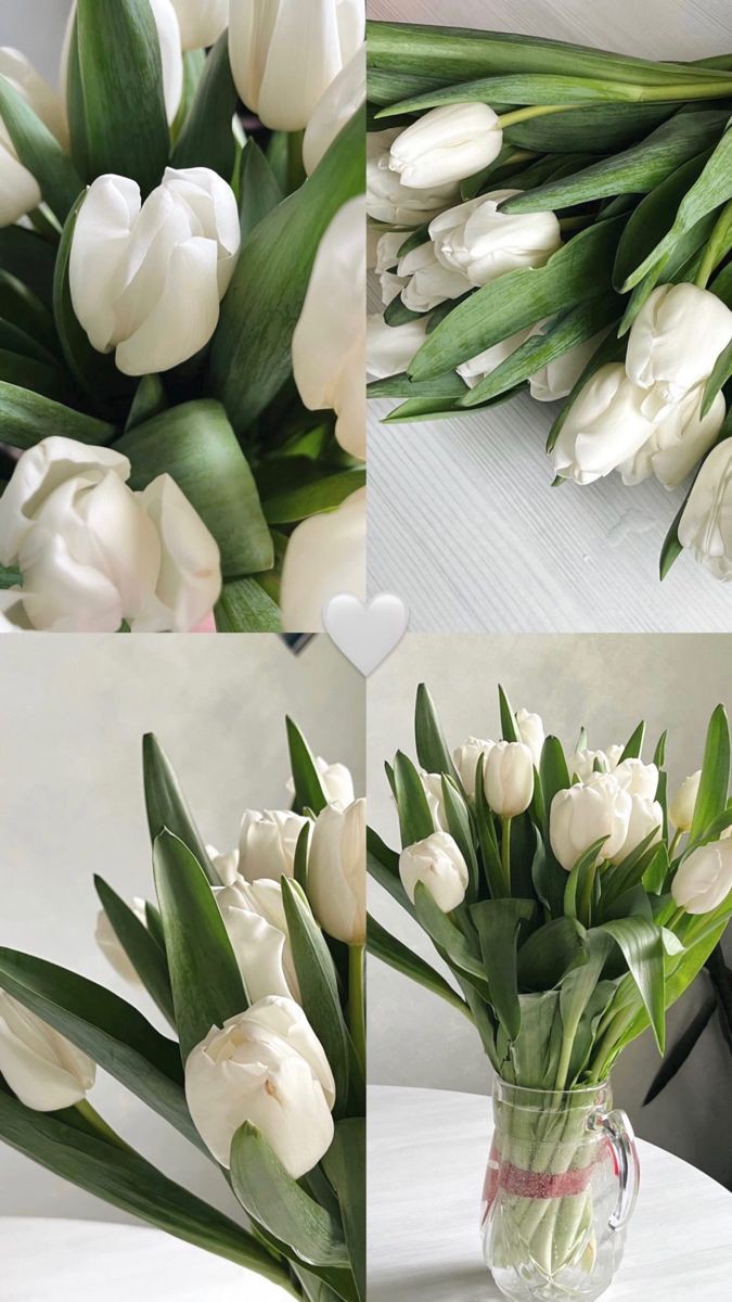 Only Tulips (@tutututututulip) on Twitter photo 