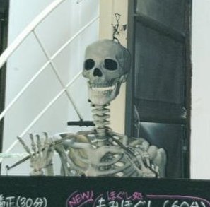 sssetfsctr's tweet image. 部屋が高い 💪