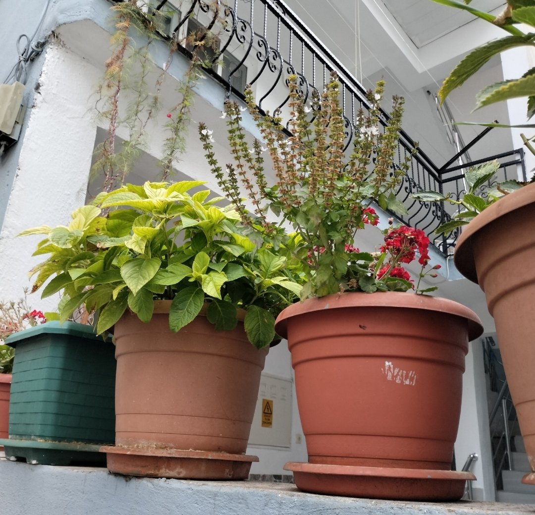 Küfrile îmân sözi hicâb oldı bu yolda 
Saflaşduk küfrile îmânı yağmâya virdük
Yûnus Emre ks.
Kıblesi "Semme Vechûllâh olanlar dâimâ huzûrdadır, daima Berâtını alıp dururlar.