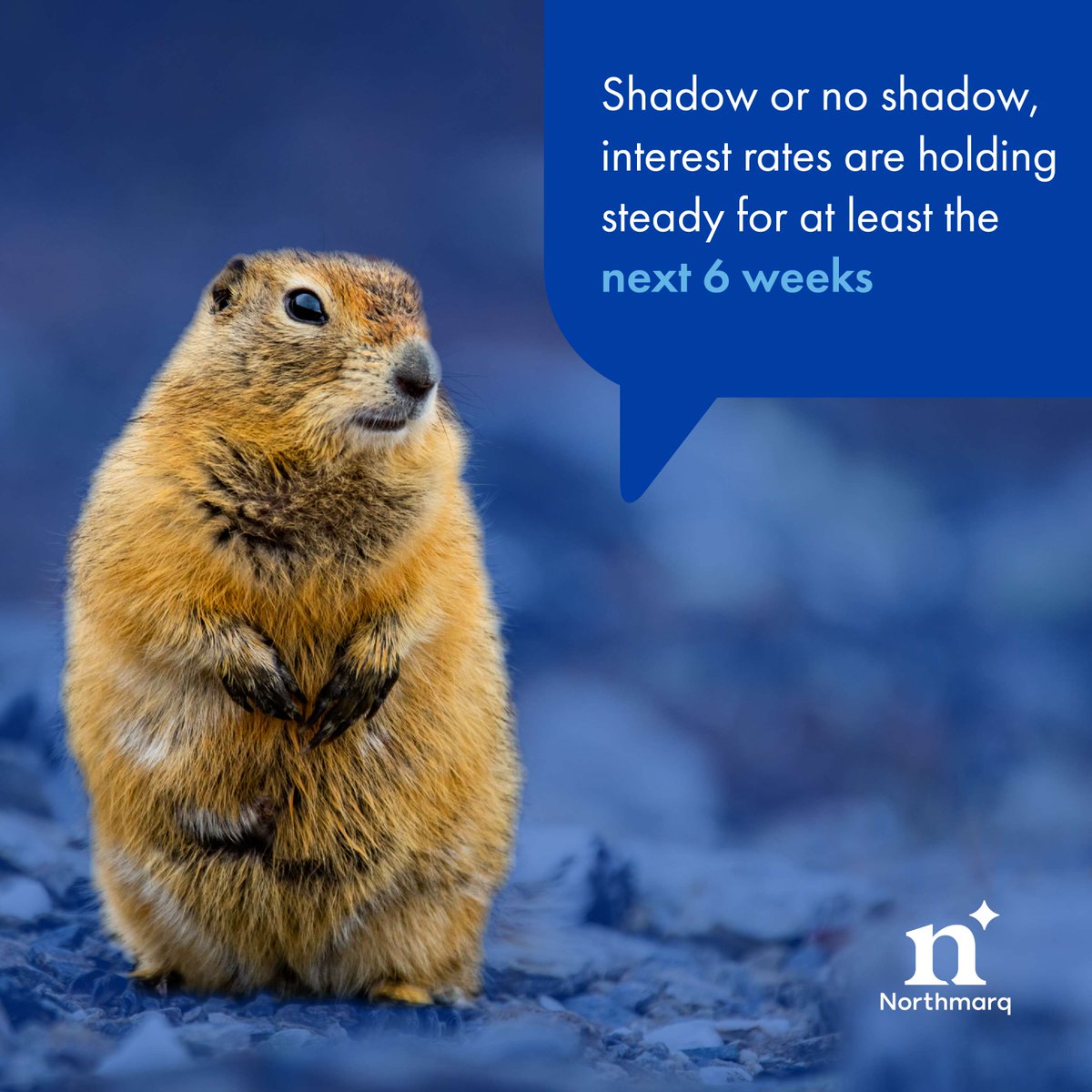 Northmarq tweet media