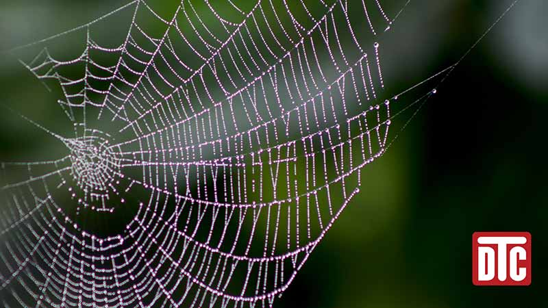 Using the Web to Measure Indoor Air Quality
Blog Post: drtomsclassroom.com/using-the-web-…
Spider webs can measure indoor air quality by trapping VOCs, PAHs, and dust—an easy, low-cost alternative to air sampling.
#DrTomsClassroom
#MechanicalPEExamPrep
#PEExam #PE #PassthePE