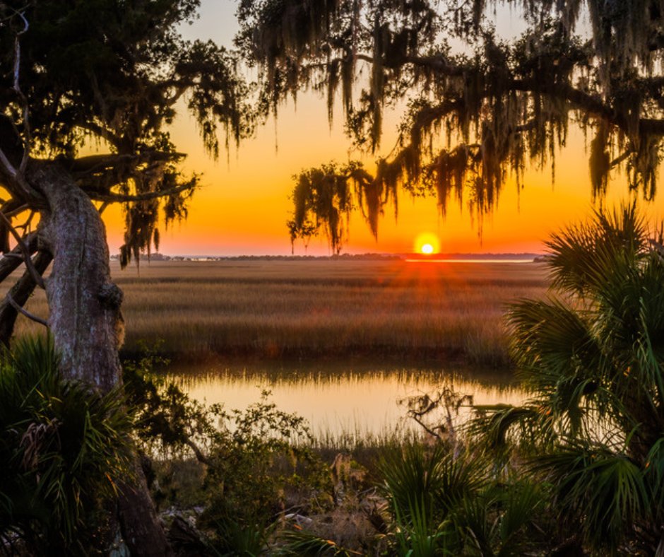 Southern Group of State Foresters tweet media