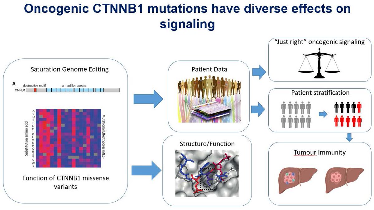 Andrew Wood tweet media