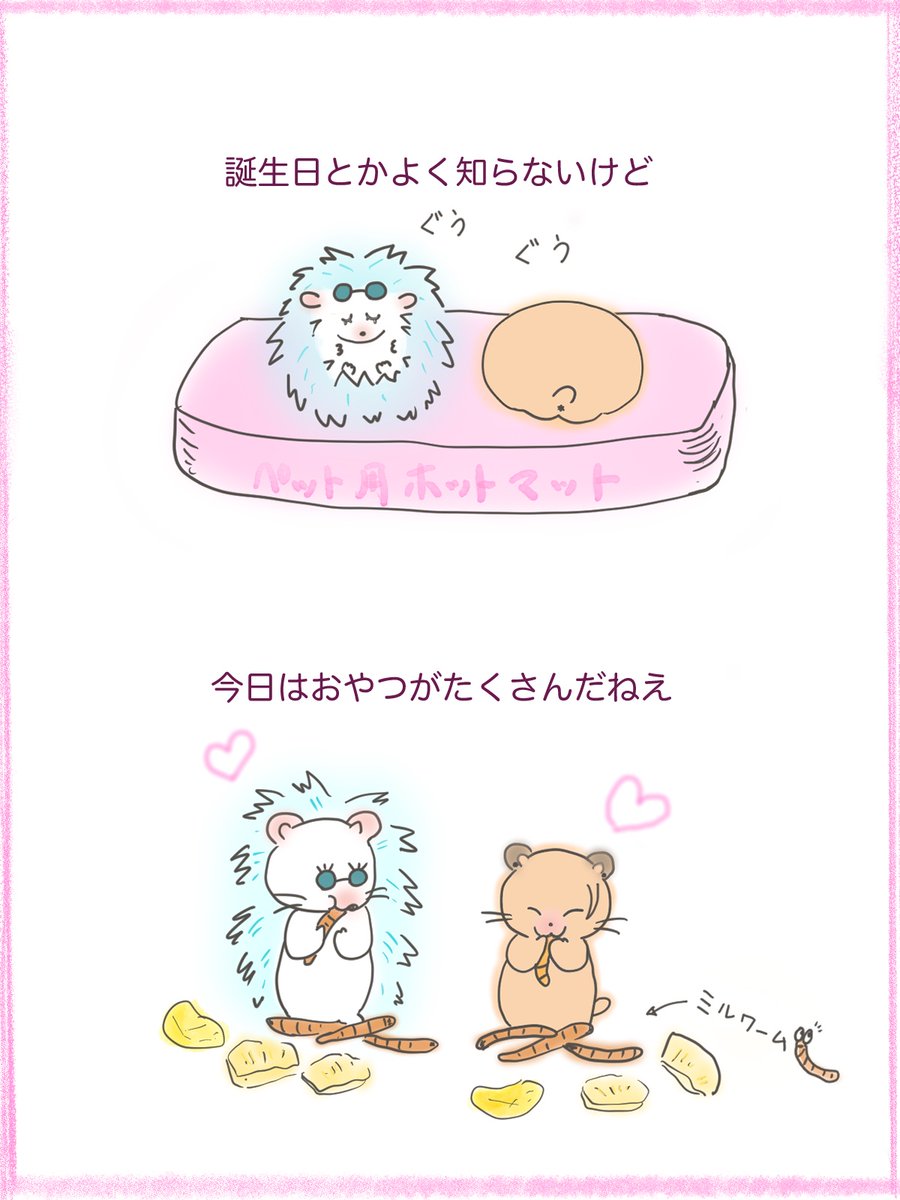 華やかなことはないけれど
平和なアニマル五夏🐾
すぐるくんおたおめ🎂💐