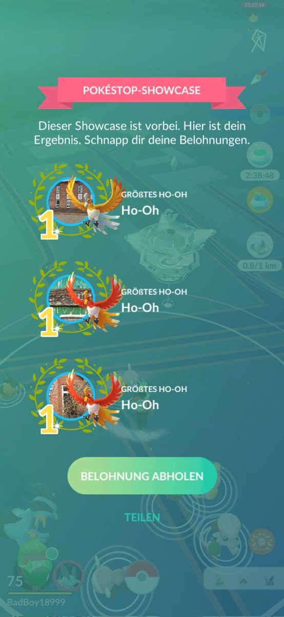 BadBoy 18999 40x11(50) tweet media