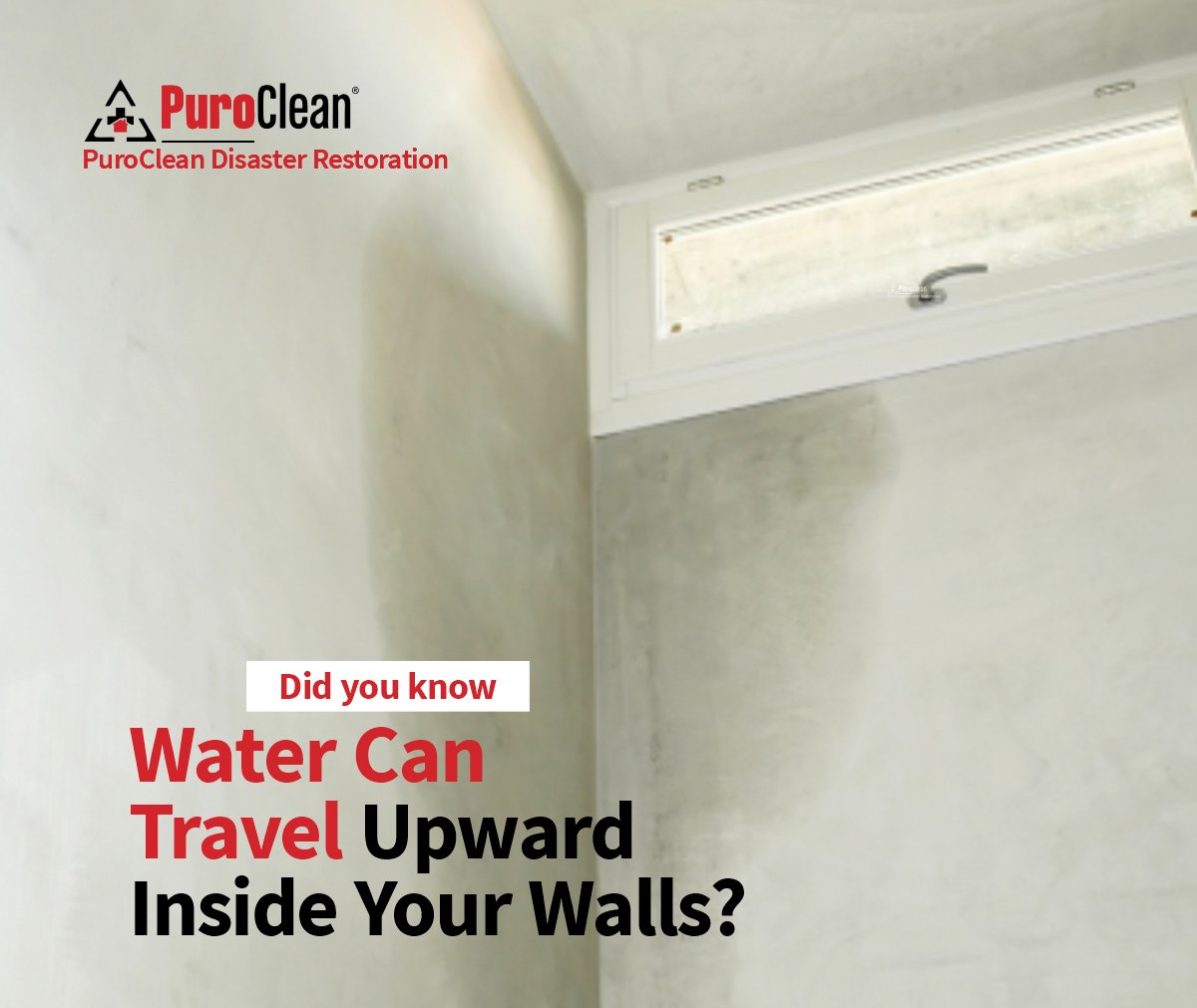 Purocleanfwayne's tweet image. Did You Know Water Can Travel Upward Inside Your Walls?

Water doesn’t just drip down, it spreads sideways and upward through drywall and framing. That’s why hidden water damage often grows long before stains appear.

#WaterDamage #DidYou #HiddenDamage #HomeSafety #Restoration