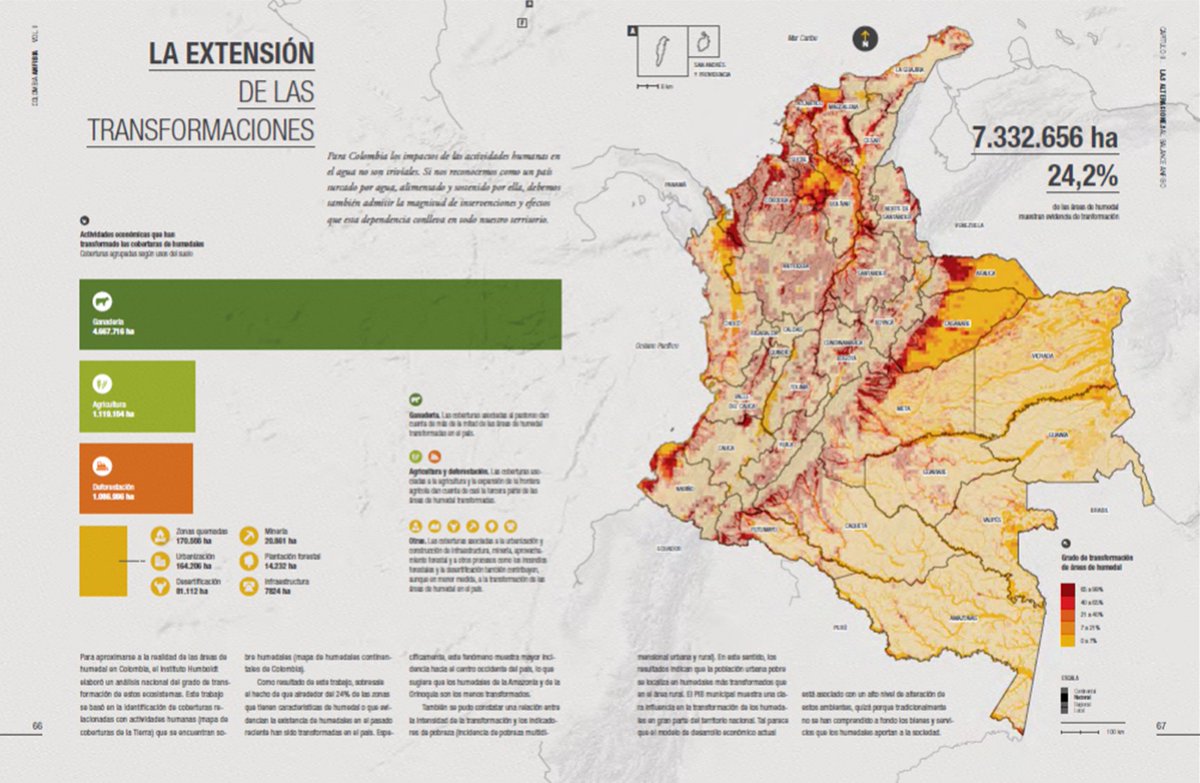 Sandra Vilardy tweet media