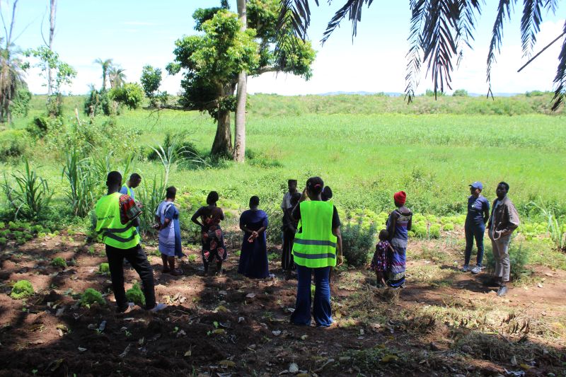emasadistributr's tweet photo. EMASA DISTRIBUTORS has launched a Youth Community–Supported Climate-Smart Agriculture &amp; Renewable Energy project in Uganda. The initiative aims to improve livelihoods for farmers, women &amp; youth by transforming Mpatta (Mukono) into a vegetable farming and clean energy hub. https://t.co/683gFi7fcs