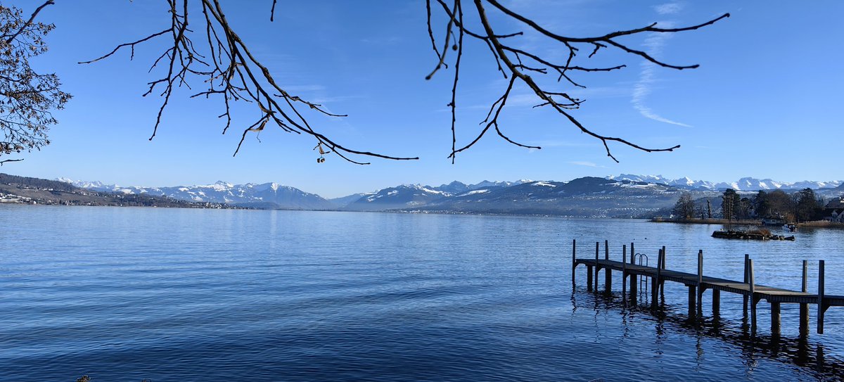 Cui Bono tweet media