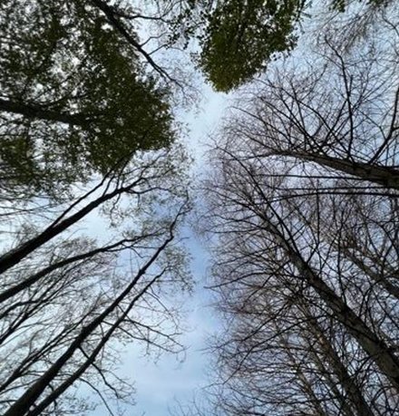 Pacarchitect's tweet image. 少ない昼 🕋