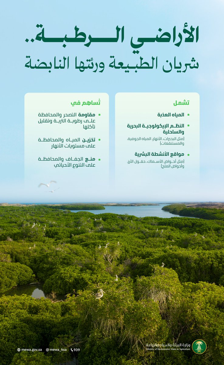 تساهم الأراضي الرطبة في مقاومة التصحر والمحافظة على التنوع الأحيائي🌍🌿

#اليوم_العالمي_للأراضي_الرطبة