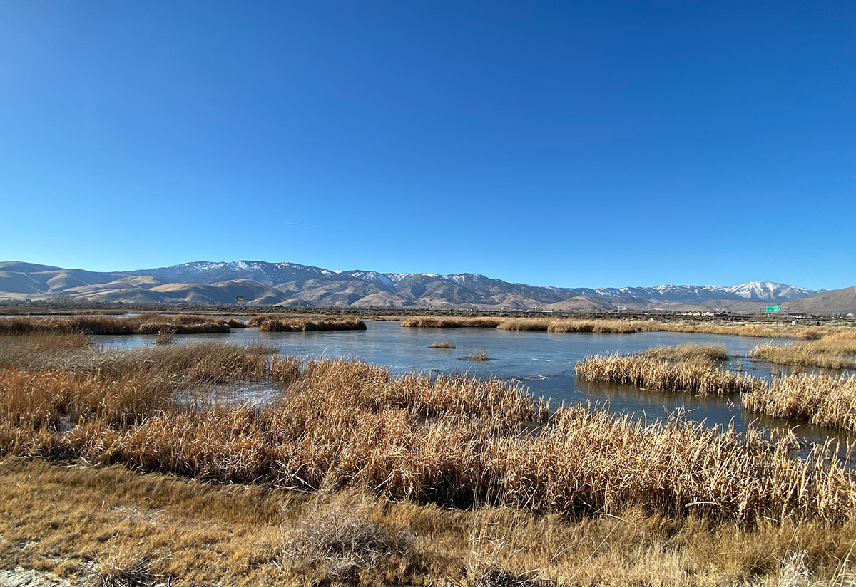 Love NV Waters tweet media