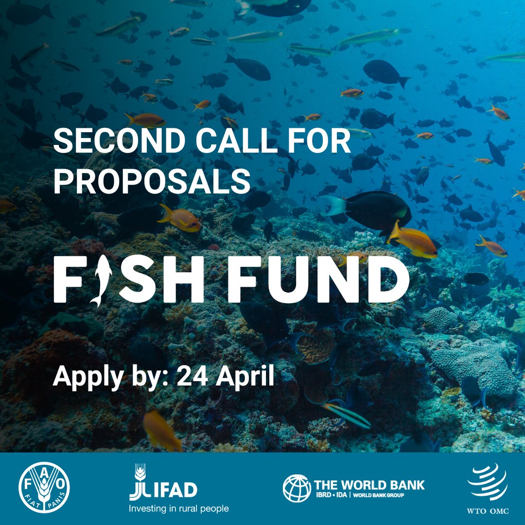 🐟 WTO Fish Fund: Second Call for Proposals

Developing and least-developed country WTO members that have ratified the Agreement on #FisheriesSubsidies can apply for project grants to support implementation.

Apply by 24 April: bit.ly/4tiHlBu