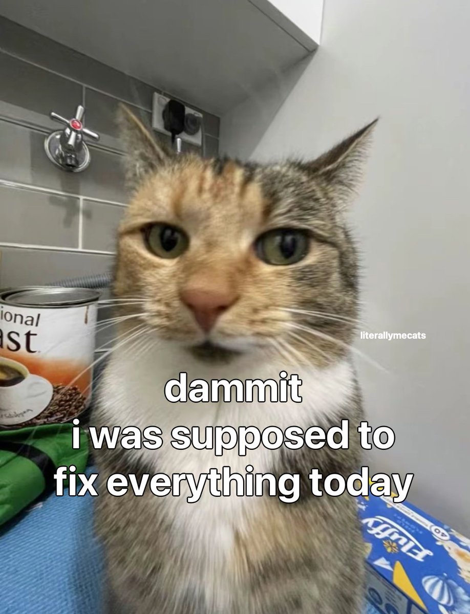 LiterallyMeCats (@literallymecats) on Twitter photo 