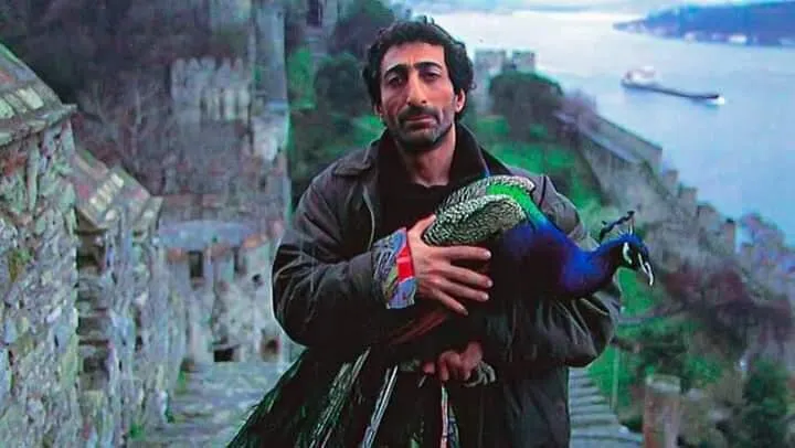 Paul_Osterlund's tweet photo. In my latest, I wrote about a modern classic of Turkish cinema, Tabutta Rövaşata: 

https://t.co/7q8G1Jz4Zw https://t.co/DPE82mlqXW