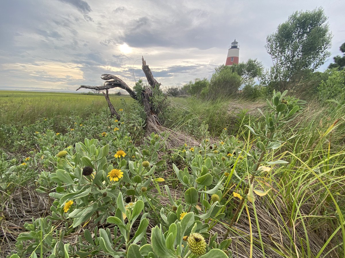 Matt Stansberry tweet media