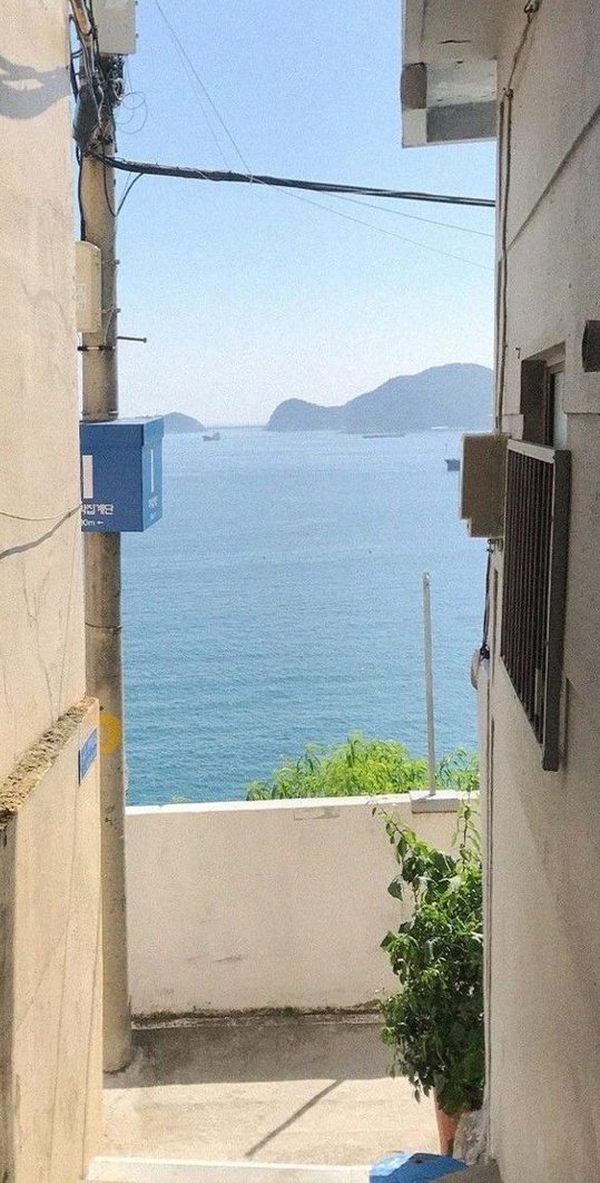 Petahendrix's tweet image. 写真を走る 🥧