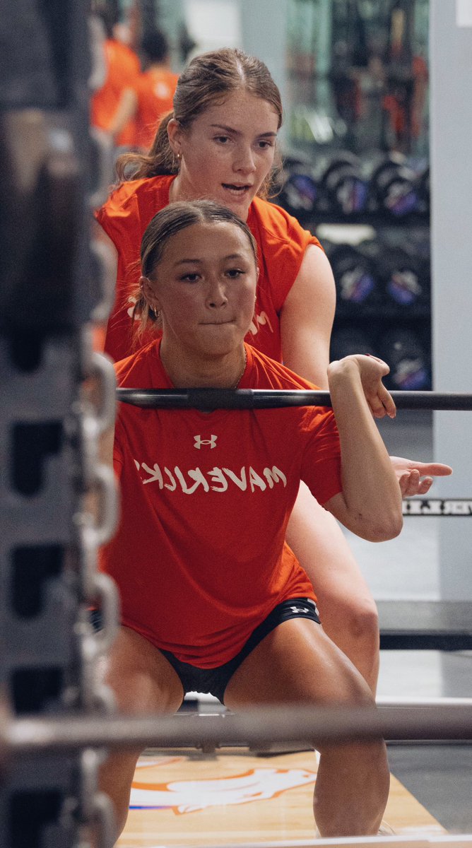 UTA Volleyball tweet media