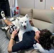 MMorne's tweet image. 水泳を明日頑張る 🦉