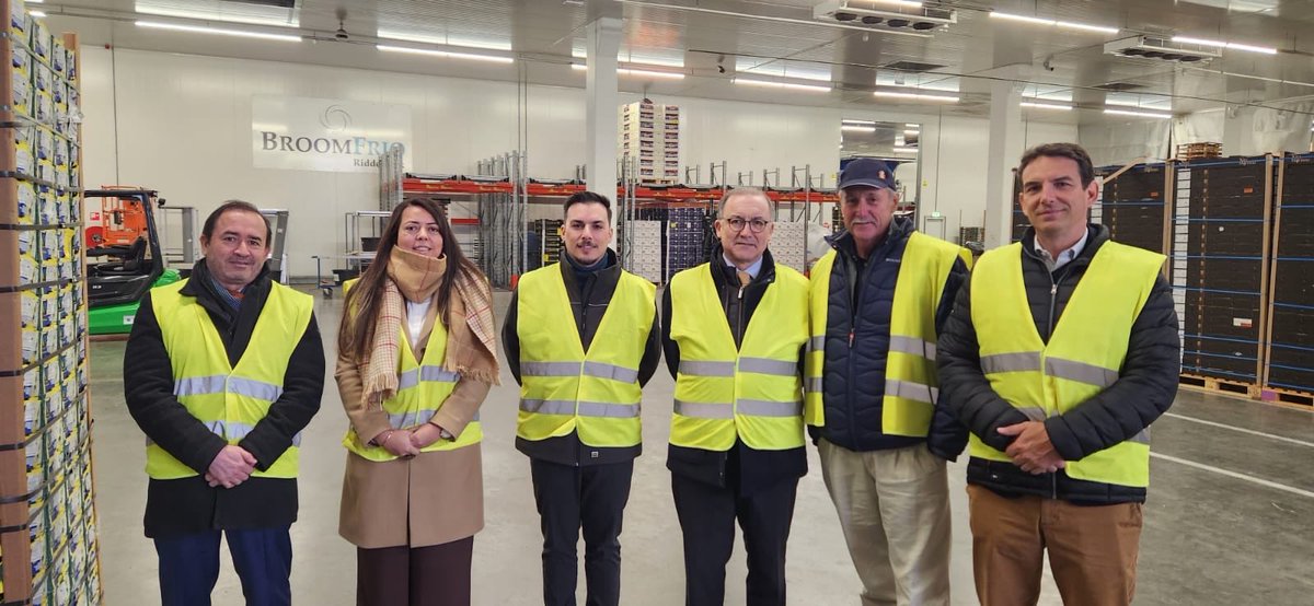 EmbChile Países Bajos tweet media