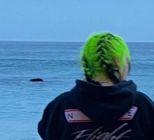 siggahulda's tweet image. 少ない会社 🐠