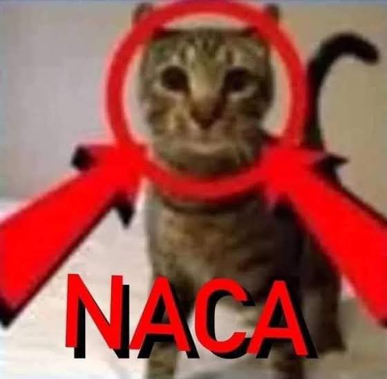 mi madrina le dijo naca a chappell roan por su vestido de los grammys y me acordé de esta